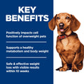 Hill's Science Diet Adult Perfect Weight Small & Mini Chicken Recipe Dry Dog Food 1.81 kg Bag 🍁 All In One Marketplace Canada