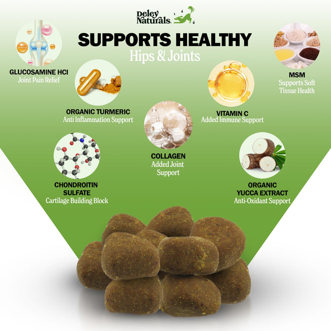 Deley Naturals Hip and Joint Supplement for Dogs - Glucosamine Chondroitin MSM & Collagen for Dogs - Dog Joint Supplement, Smaller Chews, Low Calories, Same Ingredients - 120 Chicken Flavor Chews 🍁 All In One Marketplace Canada
