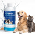 bluestem Dental Care Water Additive for Dogs & Cats – No Brushing Daily Teeth Cleaner – Pet Oral Rinse to Freshen Breath & Help Reduce Plaque – Flavorful & Easy Oral Hygiene (500 ml, Original) 🍁 All In One Marketplace Canada