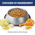 Hill's Science Diet Adult 7+ Perfect Digestion Chicken, Whole Oats & Brown Rice Recipe Dry Dog Food 10.0 kg Bag 🍁 All In One Marketplace Canada