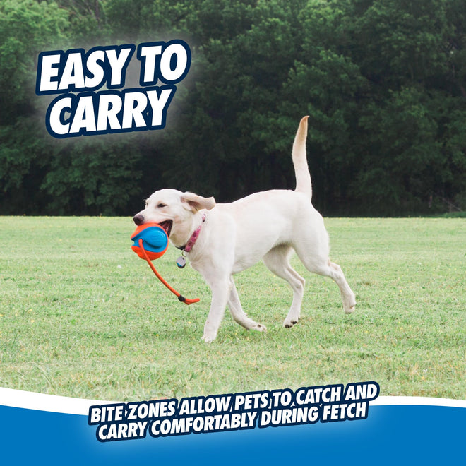 CHUCKIT! 32220 Pet Supplies Dog Toys 🍁 All In One Marketplace Canada