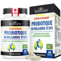 Probiotic 40 Billion CFU - Synbiotics Gut Health - Proudly Canadian Made - Bloating Relief & Digestive Health Support - Guaranteed Potency Probiotics for Men & Women - Shelf Stable, Non-GMO, 60ct 🍁 All In One Marketplace Canada