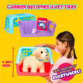 Little Live Pets Ouchies - Cooper The Retriever Puppy|Transform from Injured to Healed Like a Vet. Make a Real Cast. Walking Puppy with Carrier (35cm/13.8in Tall). Repeat Play. 50+ Sounds & Reactions 🍁 All In One Marketplace Canada