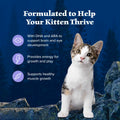 Blue Buffalo Wilderness with Chicken Natural High-Protein Grain-Free Dry Kitten Food, Real Chicken First, Antioxidant-Rich LifeSource Bits Support Immunity, DHA & ARA for Development, 2.2kg/5 lbs. 🍁 All In One Marketplace Canada