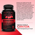 Nutratology® Berberine Supplement | Canadian-Made | Max Potency 500MG Per Capsule - Supports Glucose Metabolism & Healthy Blood Sugar Levels Through Efficient Metabolism Of Sugar & Fats - 120 Capsules 🍁 All In One Marketplace Canada
