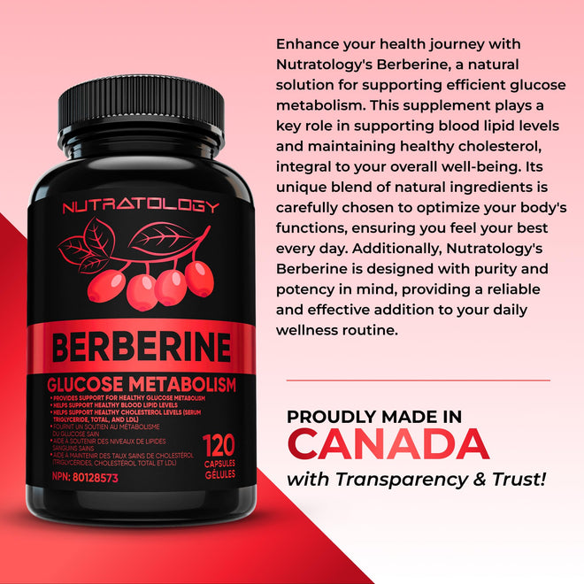 Nutratology® Berberine Supplement | Canadian-Made | Max Potency 500MG Per Capsule - Supports Glucose Metabolism & Healthy Blood Sugar Levels Through Efficient Metabolism Of Sugar & Fats - 120 Capsules 🍁 All In One Marketplace Canada