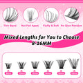 wiwoseo Cluster Eyelash Extensions 560pcs Lash Clusters Wipsy Cluster Lashes D Curl Eyelashes Clusters Individual Lashes DIY Lash Extensions Cluster Eyelash Natural Look Eyelashes (8-16MM) 🍁 All In One Marketplace Canada