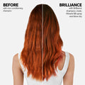 Wella Professionals Invigo Brilliance Shampoo for Fine/Normal Coloured-Treated Hair, Salon Shampoo, Hair Cleanser, Colour Safe, Daily Wash, Lime Caviar, Intense Colour Protection | 33.8 Fl Oz | 1L 🍁 All In One Marketplace Canada