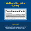 Natural Factors - WellBetX Berberine 500 mg, 120 capsules 🍁 All In One Marketplace Canada