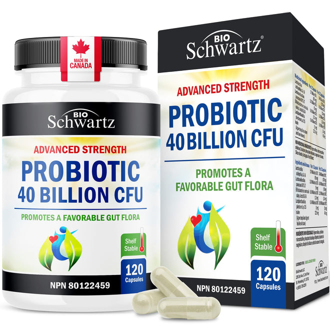 Daily Probiotic for Women & Men with 40 Billion CFU - Gut Health Complex with Probiotic for Women & Men - Shelf Stable Pre & Probiotics for Bloating Relief Digestive Enzyme Health | Non-GMO, 120ct 🍁 All In One Marketplace Canada