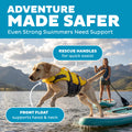 Outward Hound Granby Splash Dog Life Jacket with Handle, Reflective Floating Vest for Swimming & Boating, Maximum Buoyancy, All Skill Levels, Large Dogs (28–32" Girth), Yellow, Large 🍁 All In One Marketplace Canada