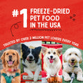 Stella & Chewy’s Freeze Dried Raw Dinner Patties – Grain Free Dog Food, Protein Rich Chewy’s Chicken Recipe – 708g Bag 🍁 All In One Marketplace Canada