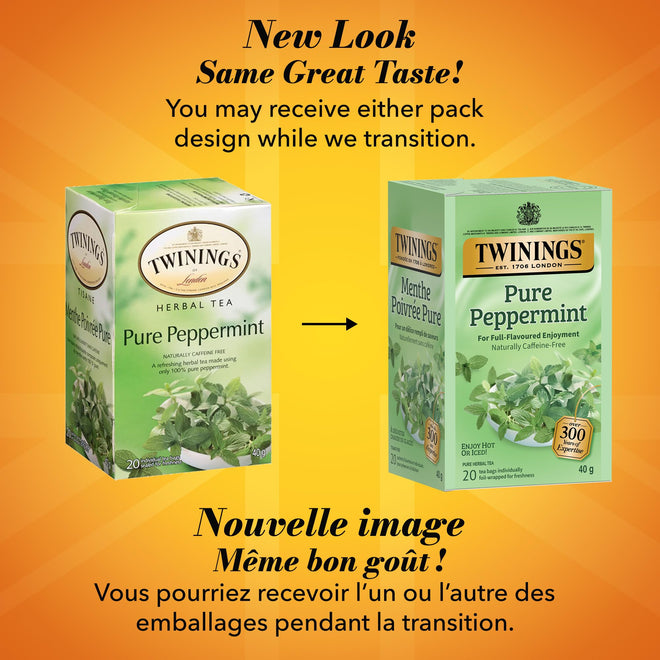 Twinings Pure Peppermint Herbal Revive Individually Wrapped Teabags, Naturally Caffeine-Free, 20 Count (Pack of 6), Enjoy Hot or Iced 🍁 All In One Marketplace Canada