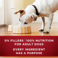 Purina ONE True Instinct Wet Dog Food, Ground Turkey & Venison (12 Pack) 🍁 All In One Marketplace Canada