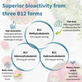 Igennus Sublingual Vitamin B12-Complex 1000mcg, Methylated B12, 180 Serving 🍁 All In One Marketplace Canada