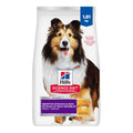 Hill's Science Diet Adult Sensitive Stomach & Skin Chicken Recipe Dry Dog Food 1.81 kg Bag 🍁 All In One Marketplace Canada