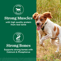 Nutro Natural Choice Adult Dry Dog Food, Lamb Flavour, 2.27kg 🍁 All In One Marketplace Canada