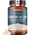 Lion’s Mane Supplement & Nootropic for Mental Clarity | 4 Month Supply | Performance & Memory Support | Antioxidant Rich & Immunomodulating Mushroom | Extra Strength Lions Mane 500mg | Non-GMO 120ct 🍁 All In One Marketplace Canada