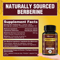 Nutravonic Berberine Supplements 1000mg Per Serving, 500mg Per Capsule | Made in Canada I Supports Healthy Glucose & Lipid Metabolism | Non-GMO, Vegan, Gluten-free, 120 Easy-to-Swallow Capsules 🍁 All In One Marketplace Canada