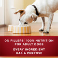 Purina ONE True Instinct Wet Dog Food, Tender Cuts Variety Pack (12 Pack) 🍁 All In One Marketplace Canada