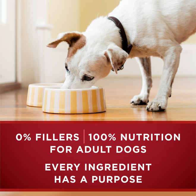 Purina ONE True Instinct Wet Dog Food, in Gravy Variety Pack 368g (6 Pack) 🍁 All In One Marketplace Canada