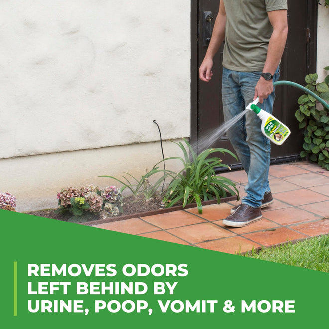 Simple Green Outdoor Odor Eliminator for Pets, Dogs, 1 Gallon Refill - Ideal for Artificial Lawns & Patio, Milky White 🍁 All In One Marketplace Canada