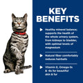 Hill's Science Diet Urinary Hariball Control, Adult 1-6, Urinary Track Health & Hairball Control Support, Wet Cat Food, Chicken Minced, 2.9 oz Can, Case of 12 🍁 All In One Marketplace Canada