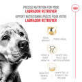 Royal Canin Labrador Retriever Adult Dry Dog Food, 30 lb bag 🍁 All In One Marketplace Canada
