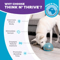 Planet Dog Orbee-Tuff Snoop Interactive Puzzle Dog Toy, Blue 🍁 All In One Marketplace Canada