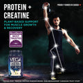Vega Protein + Creatine, 28g Plant Based Protein Powder with Creatine for Muscle Recovery – Vanilla,18 Servings, 864 grams 🍁 All In One Marketplace Canada