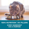 Purina ONE Dry Cat Food, Chicken & Rice Formula - 7.2 kg Bag 🍁 All In One Marketplace Canada