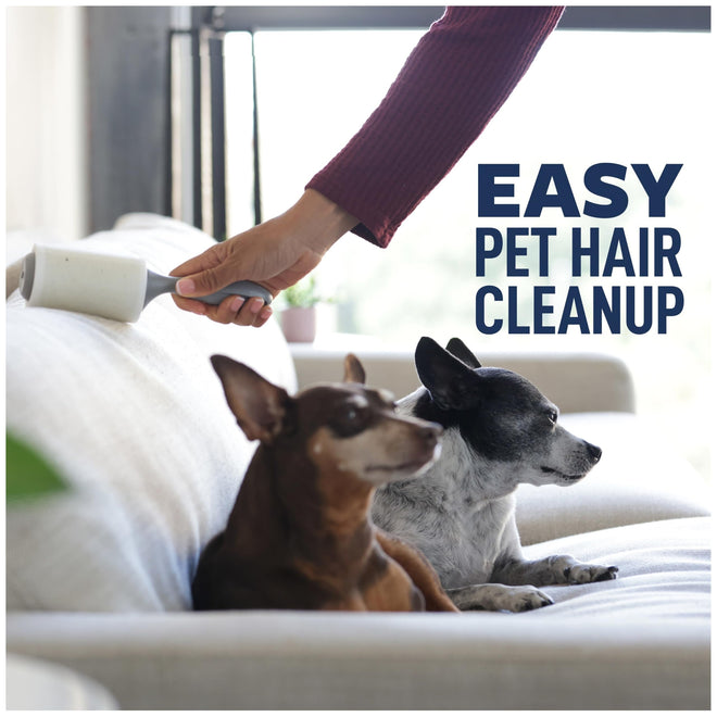 Scotch-Brite Everyday Clean Lint Roller, Lint Remover for Pet Hair, Dark Clothes, Furniture, and Dusty Surfaces, Picks Up Fur & Fluff in Your Home, Car, & Office, 5 Pack, 475 Adhesive Sheets Total 🍁 All In One Marketplace Canada