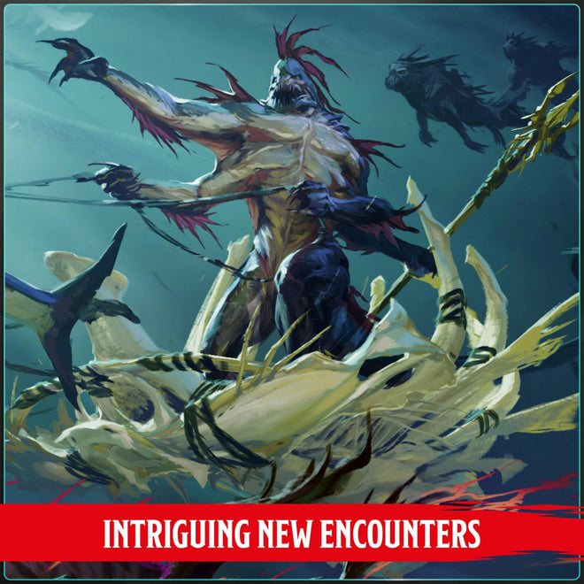 Dungeons & Dragons Monster Manual (2024) 🍁 All In One Marketplace Canada