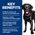 Hill's Science Diet Adult Perfect Weight & Joint Support Large Breed Dry Dog Food, Chicken Recipe 11.34 kg Bag 🍁 All In One Marketplace Canada