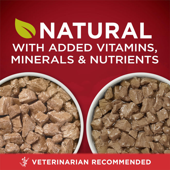 Purina ONE True Instinct Wet Dog Food, Tender Cuts Variety Pack (12 Pack) 🍁 All In One Marketplace Canada