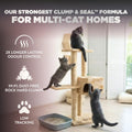 ARM & HAMMER Platinum Cat Litter, Clump & Seal, EXTRA STRENGTH Complete Odour Sealing with 14 Days of Odour Control, Multi-Cat, Hard Clumping Clay, 99.99% Dust Free, 18.14kg 🍁 All In One Marketplace Canada