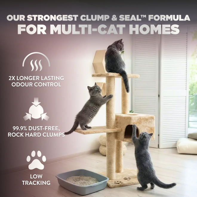 ARM & HAMMER Platinum Cat Litter, Clump & Seal, EXTRA STRENGTH Complete Odour Sealing with 14 Days of Odour Control, Multi-Cat, Hard Clumping Clay, 99.99% Dust Free, 18.14kg 🍁 All In One Marketplace Canada