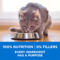 Purina ONE +Plus Dry Cat Food, High Protein with Salmon & Whitefish 3kg 🍁 All In One Marketplace Canada
