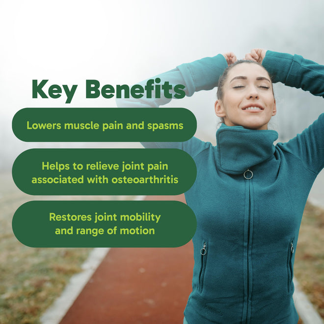 Organika MSM - Joint Support and Inflammation Relief Supplement | Supports Healthier Joints, Bones and Cartilage | Stronger Hair, Skin and Nails | Potent Antioxidant | 1,000mg of MSM - 180 vcaps 🍁 All In One Marketplace Canada