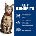 Hill's Science Diet Adult 1-6, Adult 1-6 Premium Nutrition, Wet Cat Food, Variety Pack: Turkey; Chicken; Turkey & Liver Minced, 5 oz Can Variety Pack, Case of 12 🍁 All In One Marketplace Canada