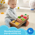 Fisher-Price Baby Toy Hide & Peek Pop-Up Animal-Themed Sensory Activity with Wood Accents & Sounds for Ages 9+ Months 🍁 All In One Marketplace Canada