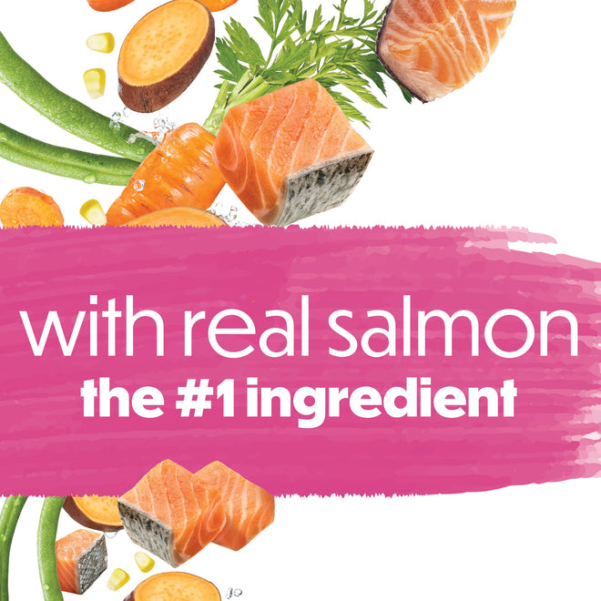 Beneful Originals Dry Dog Food, Real Salmon - 7 kg Bag 🍁 All In One Marketplace Canada