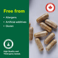 Organika Canadian-Made Absolute Iron - Iron Bisglycinate- High Availability, Gentle on Stomach, Boost Iron Levels- Beneficial for Women and Vegetarians- 120vcaps 🍁 All In One Marketplace Canada