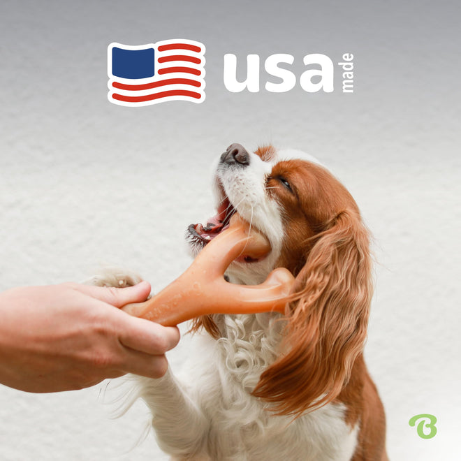 Benebone Wishbone Durable Dog Chew Toy for Aggressive Chewers, Real Chicken, Made in USA, Medium 🍁 All In One Marketplace Canada