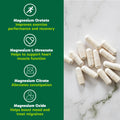 Organika Canadian-Made 8-In-1 Magnesium - 212mg Synergystic Magnesium Complex with Vitamin B6 to Support Muscle Function, Bone Health, Energy, and Cardiovascular Health | 90vcaps, 45 Servings 🍁 All In One Marketplace Canada