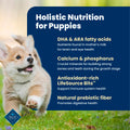 Blue Buffalo Life Protection Formula Puppy Dry Dog Food, Chicken & Brown Rice,11.7 Kg/26 lbs 🍁 All In One Marketplace Canada