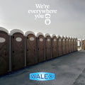 Walex PPSGBG Porta-Pak Commercial Holding Tank Deodorizer Drop-Ins, Sunglow Scent (Pack of 50) 🍁 All In One Marketplace Canada