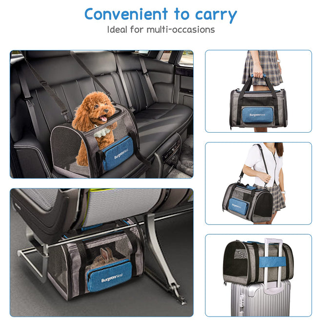 BurgeonNest Cat Carriers for Medium Cats Under 25 lbs, Pet Carrier for Cats with Unique Side Bag,Top Load Small Pet Carrier Soft-Sided Escape Proof with 4 Ventilated Windows 🍁 All In One Marketplace Canada