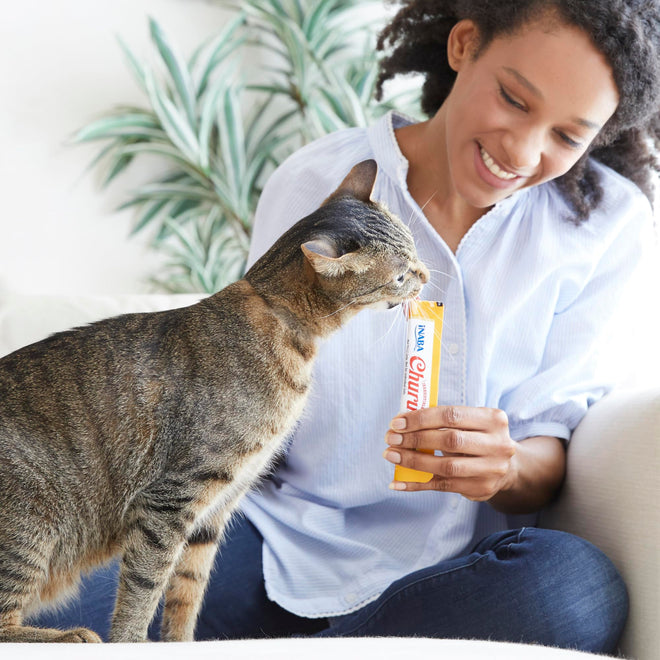 INABA Churu Cat Treats, Lickable, Squeezable Creamy Purée Cat Treat with Green Tea Extract & Taurine, 14 Grams Each Tube, 60 Tubes, Tuna Variety Box 🍁 All In One Marketplace Canada