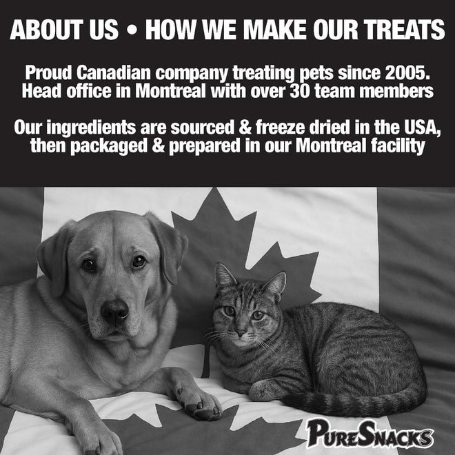 PureSnacks Chicken Single Ingredient Freeze Dried Dog Treats, 261 g 🍁 All In One Marketplace Canada